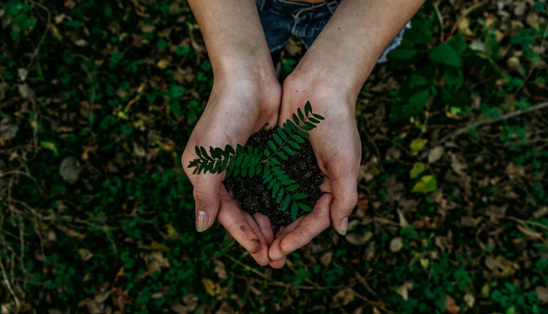 Sustainable Development Logo